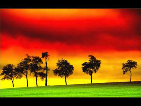 Groundation - Music is The Most High ( Full )