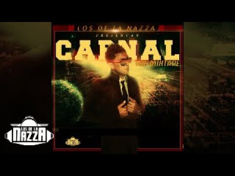 Carnal - Maliantes En La Disco ft. Gaona, Farruko [Official Audio]