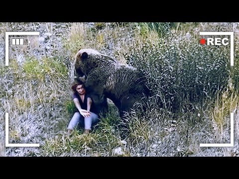 The Worst Bear Attacks Ever Recorded