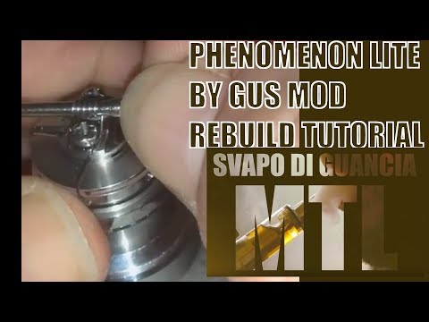 Gus Phenomenon / Zest / Menelaus
