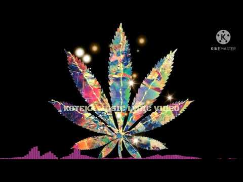 WIR3D X SHAZZA_TOXIC LOVE {Prod. By Vanboii}????????