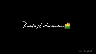 Download lagu 💞Kalayil dhinamum kan vizhithal amma song whatsapp status tamil 💞|Amma song whatsapp status tamil| mp3 Download lagu 💞Kalayil dhinamum kan vizhithal amma song whatsapp status tamil 💞|Amma song whatsapp status tamil| mp3