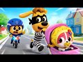 Sports Challenge Funny Stories Safety Rules For Kids Police Cartoon Sheriff Labrador