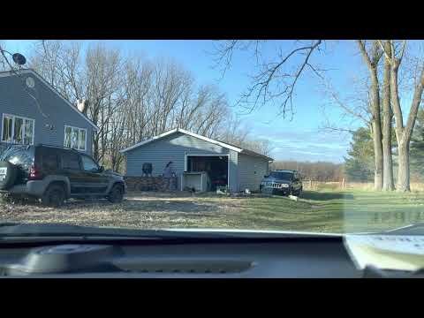 My Farm cats! They eat first 😸