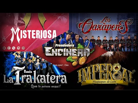 MIX MÚSICA MUERTERA CARNAVALERA 2019