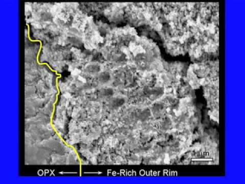 ALH 84001 and Other Martian Meteorites