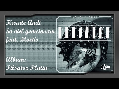 Karate Andi feat. Mortis - So viel gemeinsam | Pilsator Platin | Album-Preview