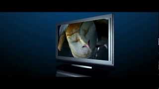 Download lagu Warner Bros. Home Video : Blu-ray 3D - Trailer #1 | HD 1080p mp3 Download lagu Warner Bros. Home Video : Blu-ray 3D - Trailer #1 | HD 1080p mp3