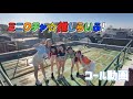 Mini Wacha Oshi Life Call Video