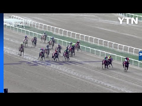 '총상금 10억' 코리안더비, 우승마는? / YTN