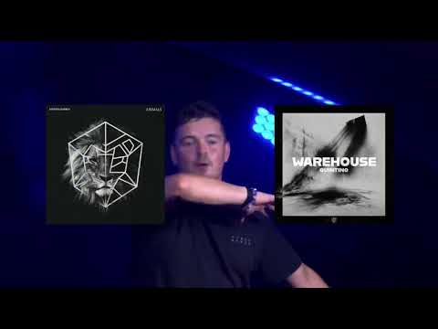 Martin Garrix x Quintino - Animals x Warehouse (Martin Garrix Tomorrowland 2025 Mashup)
