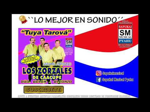 Solteron tuja - Los zorzales de Caacupe