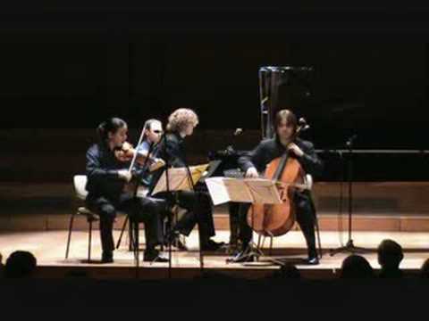Smetana Trio opus 15 : Trio Carlo Van Neste / Part 1 / BOZAR 2008.