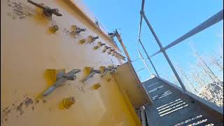 بيع آلة الغربلة الهزازة Tesab TS3600/McCloskey S190 3D - صورة 11 | Machineryline SA آلة الغربلة الهزازة Tesab TS3600/McCloskey S190 3D | صورة 11 - Machineryline