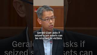 Singapore MP asks if scam assets seized by government could be returned to victims instead