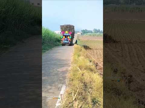 Kannada Janapada Songs | Best Kannada Janapada Songs | Traditional Folk Music  | Janapada Geethegalu