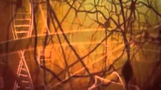 The Evil Spirit Detachment Meditation