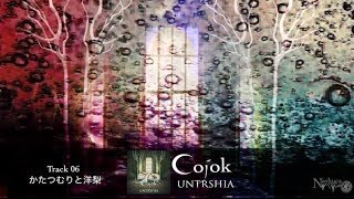 Cojok 「クリムゾンキングの宮殿」を含むアコトロニカ全8曲収録 【アルバム試聴】