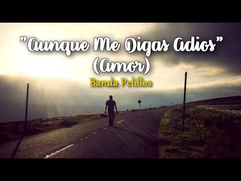 Banda Pelillos - Aunque Me Digas Adios (Letra)