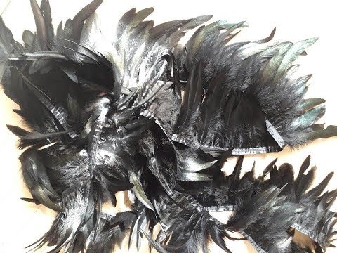 MBFWLJ / Tanja Zorn - collection Fly  [ fw17/18 ]