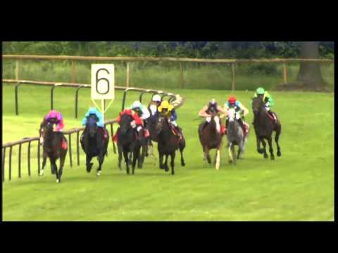 Bremen: swb-DERBY-TRIAL (Listenrennen) - Sieger: Protectionist