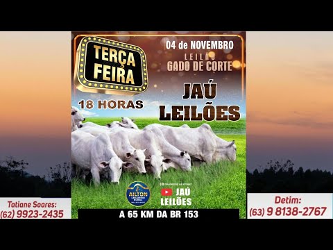 LEILÃO GADO DE CORTE  - JAU LEILÕES  - JAU DO TOCANTINS  -04/ 11/ 2025
