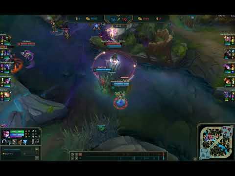 Riot Dash and I Wipe the Floor