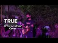 True (Live Cover) Crestian Momo (Ryan Cabrera)