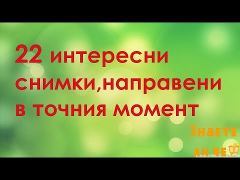 22 интересни снимки,направени в точния момент (22 interesting photos,taken at the right moment)