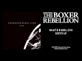 The Boxer Rebellion - Watermelon (Exits LP) 