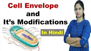 Cell Envelop and it's modification | Mesosome | Bacterial Flagella | NEET | In Hindi
