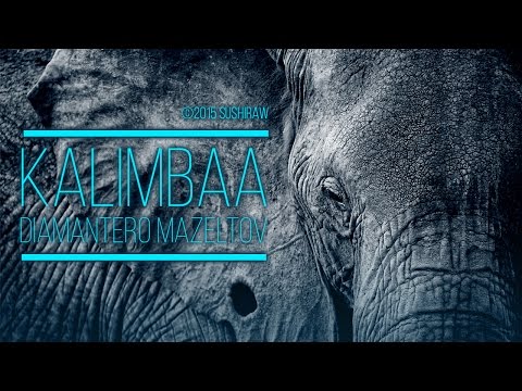 Diamantero - Kalimbaa   |   Official Audio