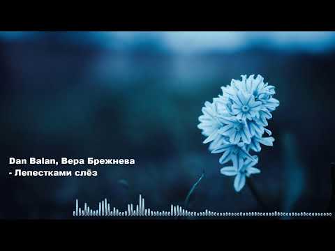 Dan Balan, Вера Брежнева - Лепестками слёз