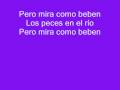 Los Peces En El Rio de RBD (lyrics) 