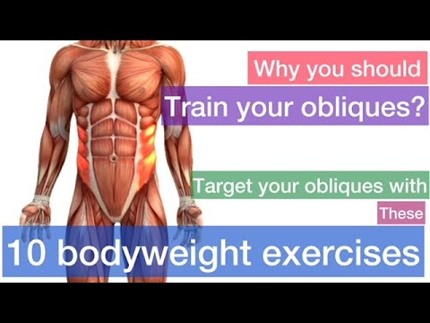 Why should you train your obliques. How to target the obliques with these 10 bodyweight exercises ✅