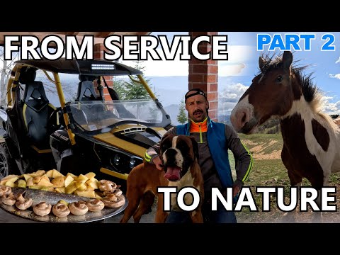 FROM SERVICE TO NATURE WITH MY CAN-AM COMMANDER 1000 🛠️🌲 | Camping With Dogs & Wild Horses (Part 2)