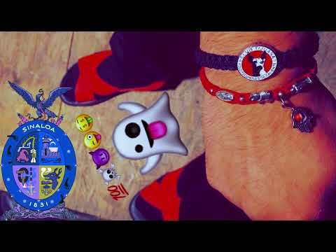 La Firma Del Flaquito - Los Tucanes De Tijuana ☠️💀 [ estudio 2023 ] #corridos2023 #tijuana #musica