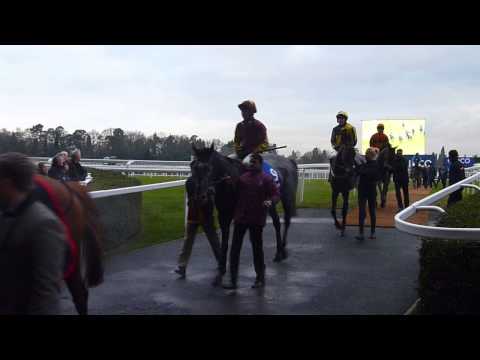 Sat 14 Feb 2015, Ascot Races:   flat runners being led back in (2m)
