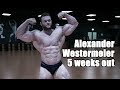 Alexander Westermeier 5 Wochen bis zum Pro Debut | Training & Posing