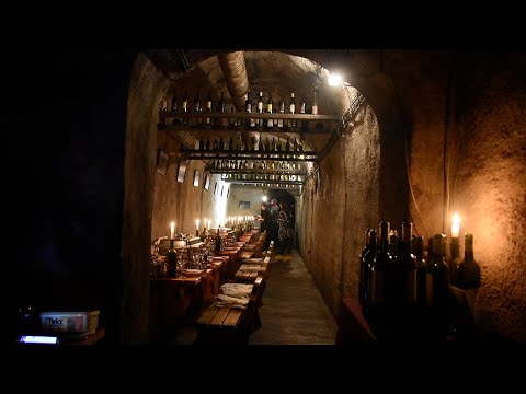 DEGUSTACIJA VINA 15 METARA POD ZEMLJOM - Podrum vina Panajotović, Beograd