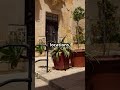 Fascinating Facts About Maltese Last Names MalteseSurnames CulturalHeritage Familyhistory