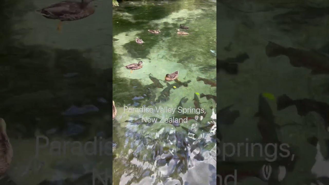 YouTube Short thumbnail