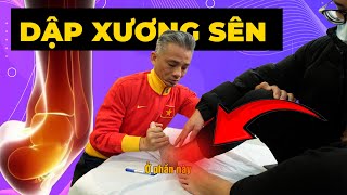 Is Talar Fracture Dangerous? How to Handle It Correctly to Avoid Serious Complications | Starsmec...