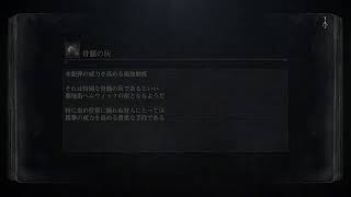 ブラボ　6周目2