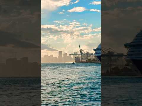 Thumbnail for Carnival Magic 🛳️ #like #share #comment #subscribe #shorts #youtubeshorts #shortvideo #short #viral