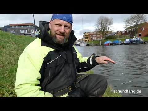 Matze Koch: Futtertest und Methodfeeder - Matzes Mätzchen 04-2019