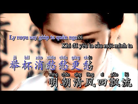Karaoke song ngữ Mộng Uyên Ương Hồ Điệp | 鸳 鸯 蝴 蝶 梦 - Hoàng An 黃安