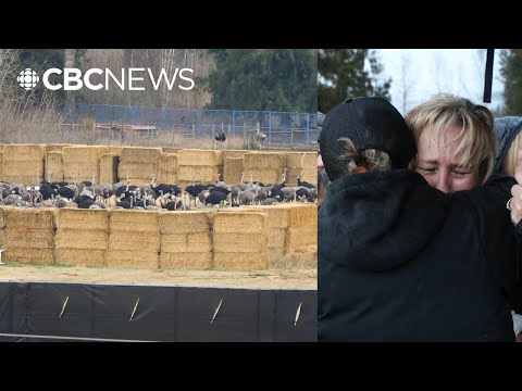 CBC News and CBC British Columbia