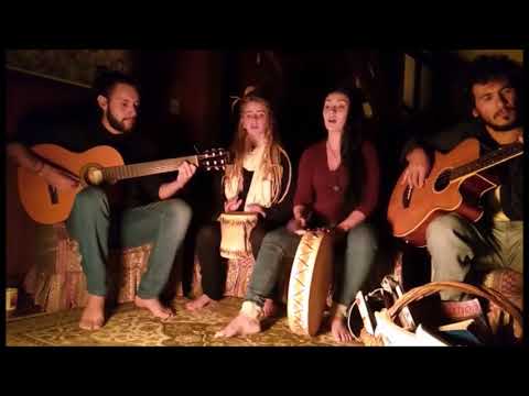 Café expresso - Eleva (Big Up)