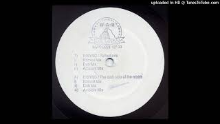 Insync - Dark Side of the Moon (Dub Mix)